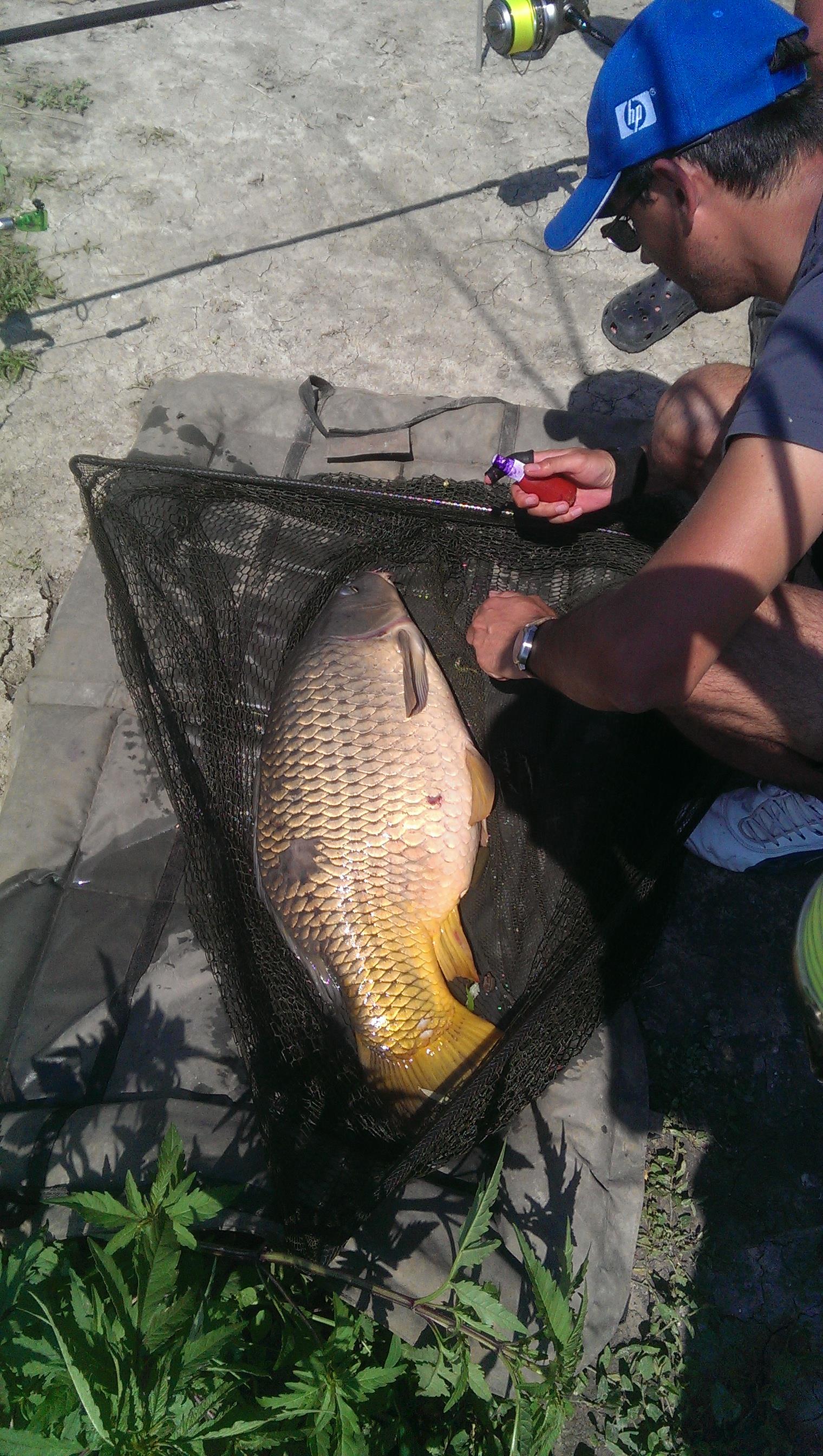 Hermes Peris 22 - 23 iunie 2014 - imag11391.jpg